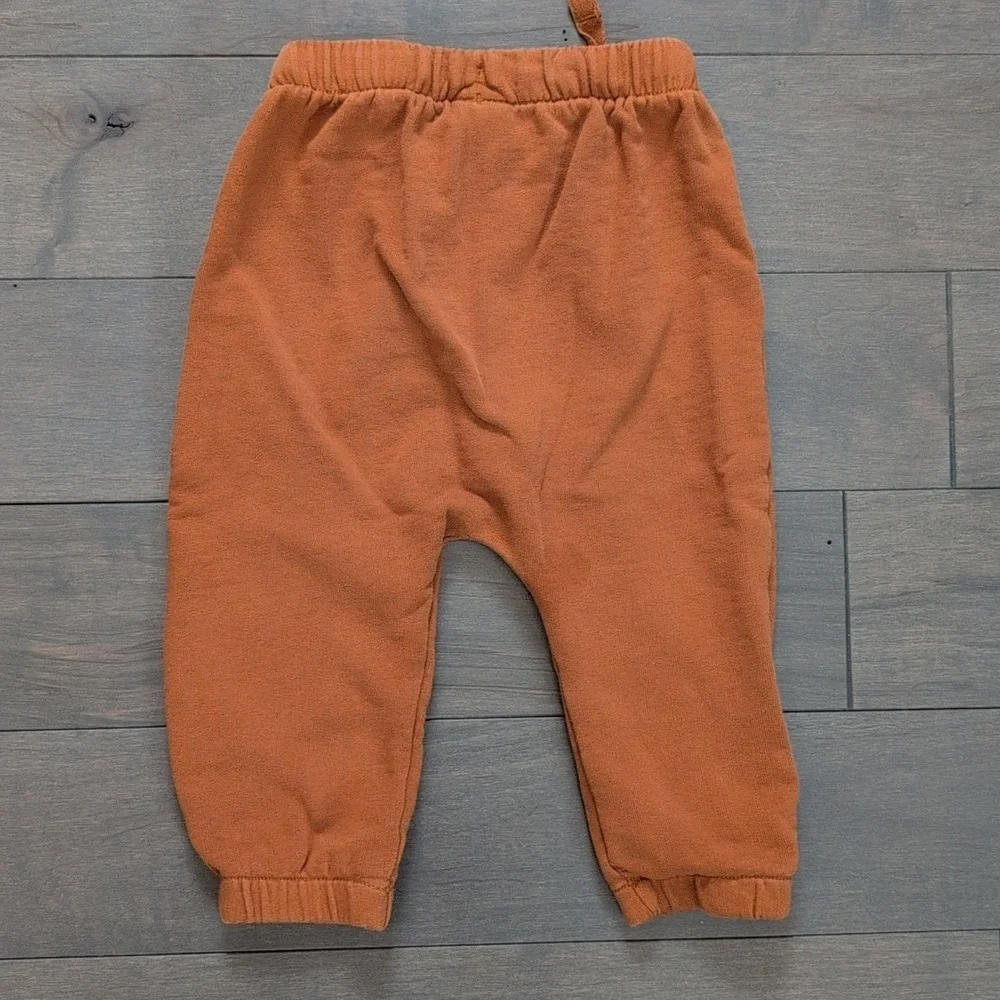 Hanna Andersson 12-18 Month Llama Print Long Sleeve Tee & French Terry Pants Set